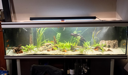 aquarium Aquarium 600 litres