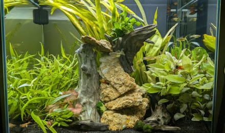 aquarium CIANO EMOTION PRO 60