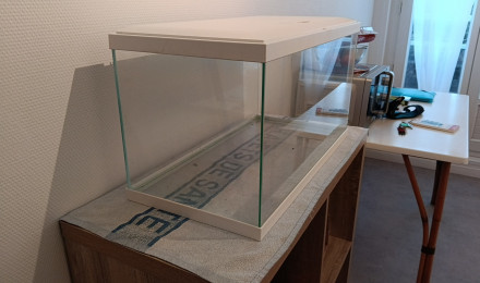 aquarium Nouveau bac de 60l