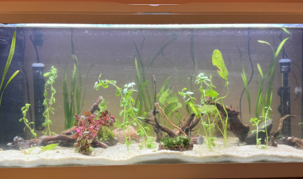 aquarium Zolux 100L