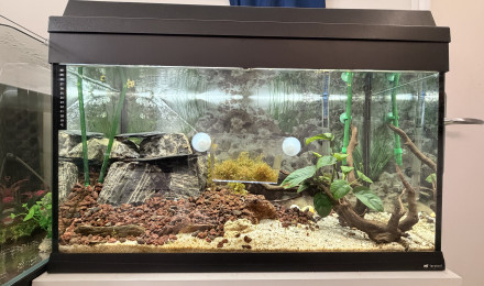 aquarium Aquarium 120L