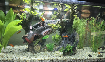 aquarium Mon 80 litres