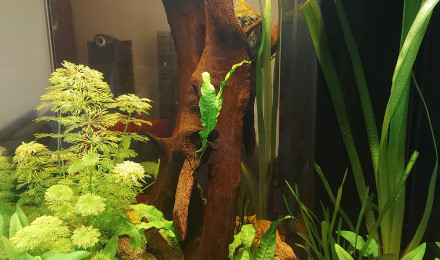 aquarium Aquatlantis Tower 163