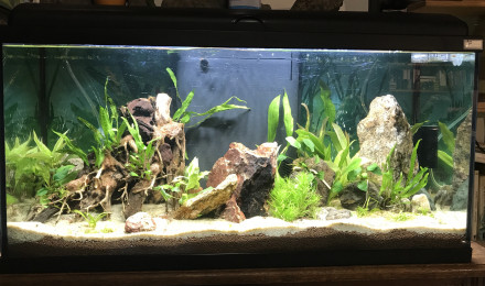 aquarium aquarium salon