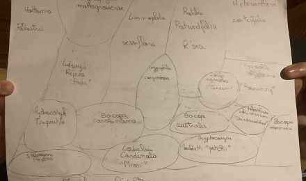 aquarium Futur projet lointain