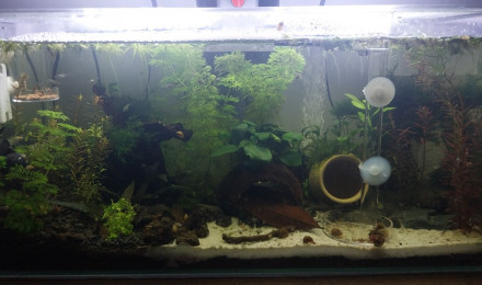 aquarium Le Monde de Bloups