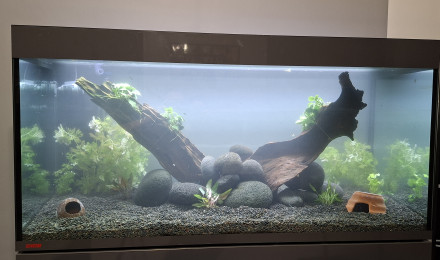 aquarium Communautaire