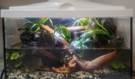 aquarium Recup Palu Aquaterrarium