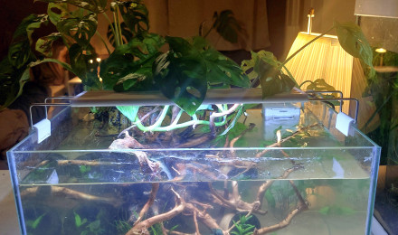 aquarium Shallow 30L