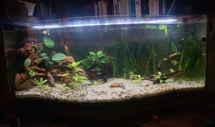 aquarium 130 litres