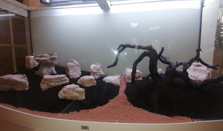 aquarium Kurenai no sosei