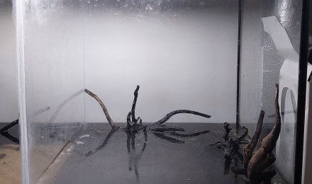 aquarium Le monde de Bebou