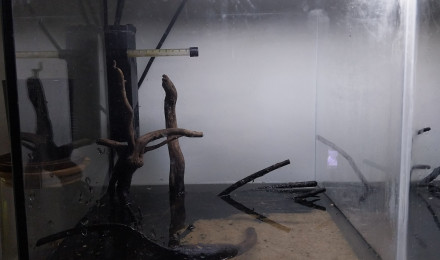 aquarium Le Monde de Binou