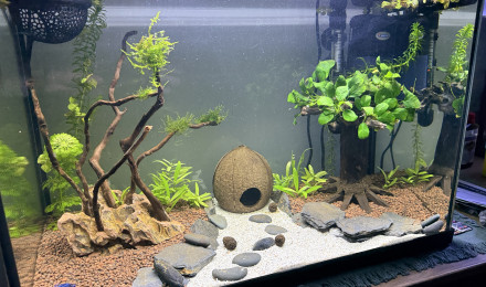 aquarium Mon 60 litres