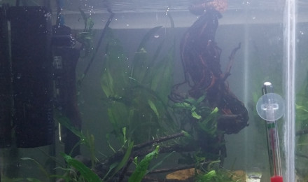 aquarium Le Monde de Binou