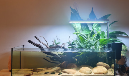aquarium Shallow 120L