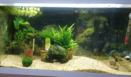 aquarium Bac hopital