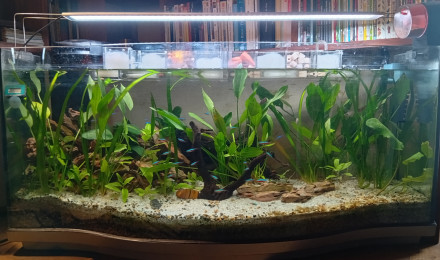 aquarium 130 litres