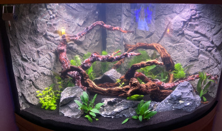aquarium Juwel Trigon 190