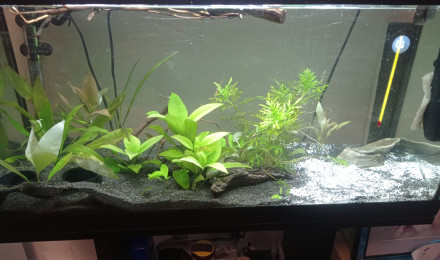 aquarium Premier bac ever