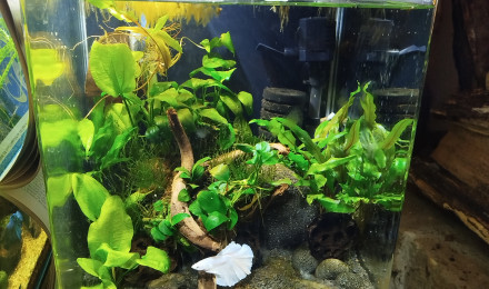 aquarium Nano Koh Nok