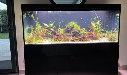 aquarium AQUAEL glossy 150