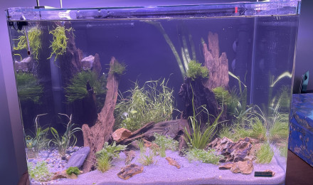aquarium Nano 2