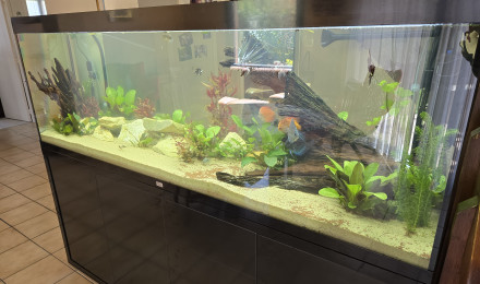 aquarium Aquarium 800 l