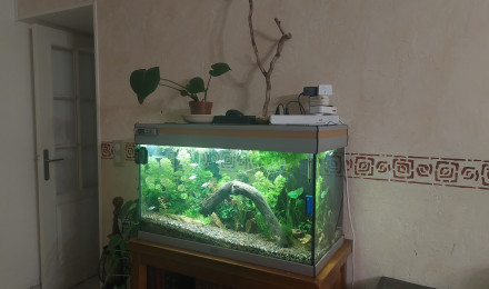 aquarium Communautaire 150l