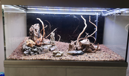 aquarium Mon premier