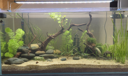 aquarium aquathi