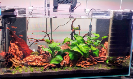 aquarium Aquarium 80L
