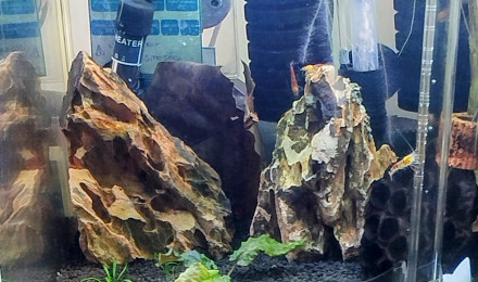 aquarium Aquarium 30L Num 1