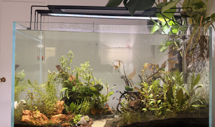 aquarium Visi-White 90P
