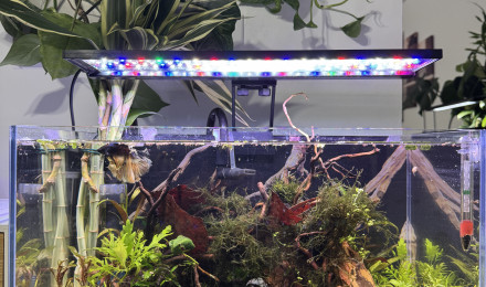 aquarium Aqua Japan Rimless Ultra Clear Shallow 45 Aquarium