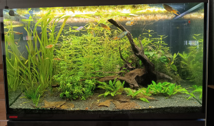 aquarium INCPIRIA 330