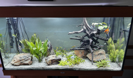 aquarium Le big TT