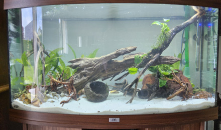 aquarium Juwel vision180
