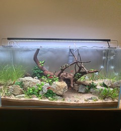aquarium SORRENTE