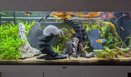 aquarium JUWEL RIO 180 LED