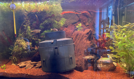aquarium Mon jardin