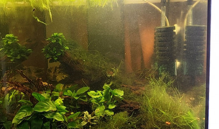 aquarium Aquatlantis tower 50