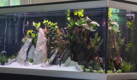 aquarium Move 360l