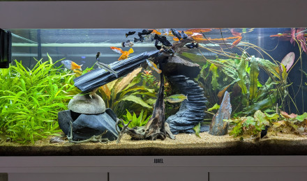 aquarium JUWEL RIO 180 LED