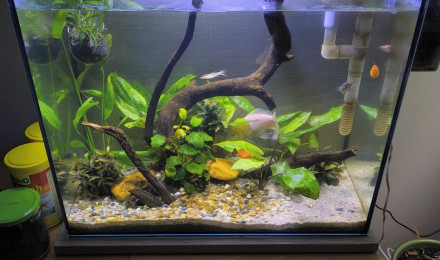 aquarium 30L nano