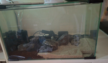 aquarium 17.5L Spé Caridina Red Crystal