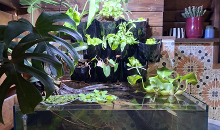 aquarium Zion