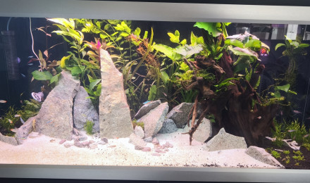 aquarium Move 360l