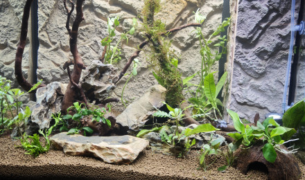 aquarium Lido 120