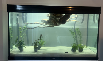 aquarium Stand Globos